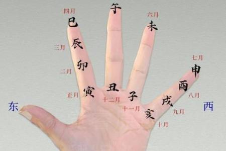 手相奥秘：一握之间，尽通天柱之力