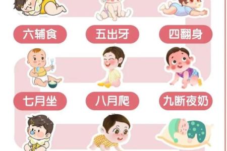 萌动生肖，宝宝成长指南