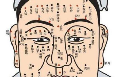 时凤眼面相揭秘：一眼看穿命运，揭秘你的财运与福运