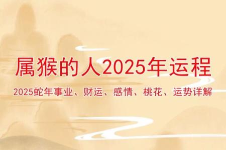 2016猴年运势大揭秘：生肖运势排行榜，你的运势如何？
