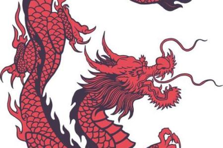 蛇兔相配，运势翻倍？
