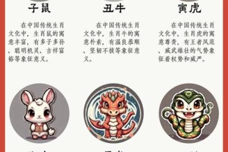 生肖饭局：揭秘12生肖的独特食趣