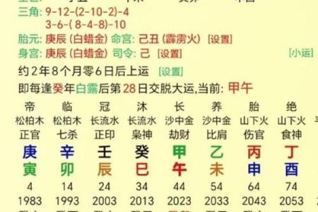 免费八字算命，精准解析你的人生轨迹！
