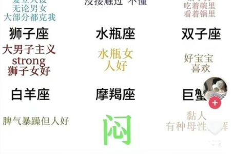 十二星座之巅，揭秘最新崛起的璀璨之星