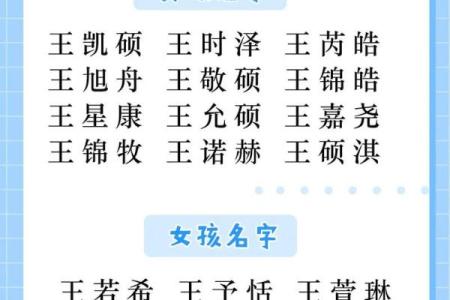 孟德起名推荐：为孩子定制完美名字的步骤