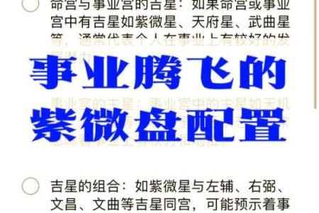 如何利用河洛派紫微斗数排盘走向成功与财富