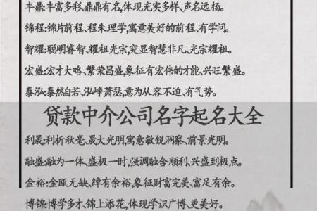 如何为公司选字起名让品牌更具辨识度