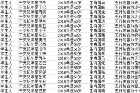 属相年龄大揭秘：年龄与生肖的秘密联系，你了解多少？