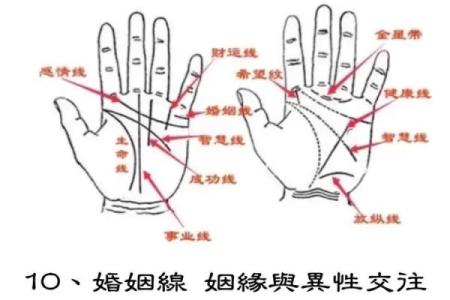 揭秘手相奥秘：一招识破命运，从此财运亨通，爱情美满
