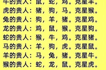 属相配对大揭秘，一家三口完美组合指南