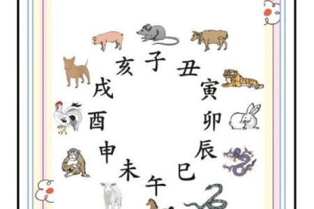 琴韵流年，琴心独白：琴之生肖传奇