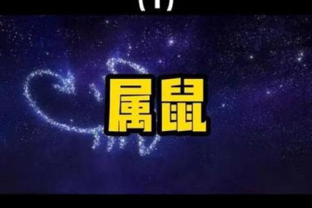 鼠年吉月，揭秘属鼠月份的财运密码