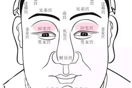 揭秘面相十二宫，教你一眼识人，财运、事业、健康全掌握