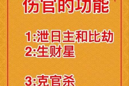 揭开八字断风水的神秘面纱，助你走向成功人生