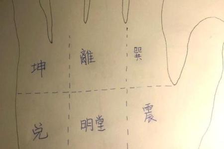 揭秘小指竖纹手相，揭秘你的命运秘密