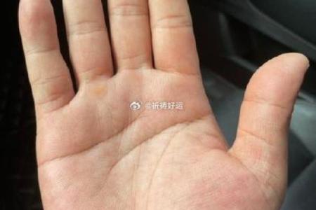 川字掌纹揭秘：你的创业天赋与财富密码