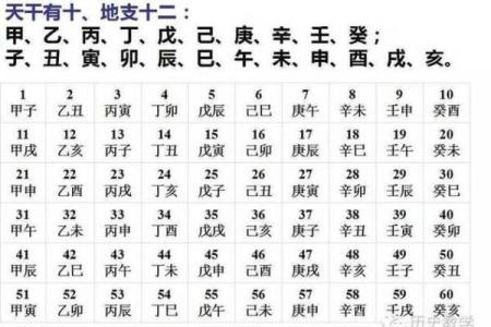 查日柱天干，解读你命中的好运与挑战