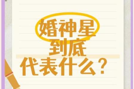 揭秘婚神星座：你的命中注定伴侣是谁？