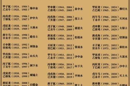 点算八字，解锁成功人生的秘诀