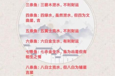 金鱼风水秘籍：养几条金鱼，财运亨通、家庭和睦