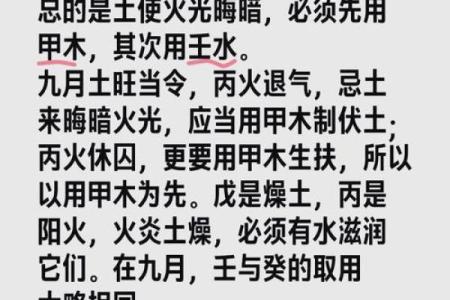揭秘火命元：点燃运势，成就非凡人生