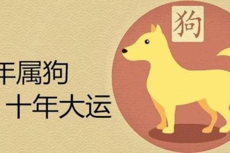 94年出生的属狗人，揭秘你的运势密码