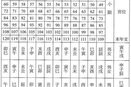 紫微斗数流年盘排盘全攻略，教你快速掌握命运走势