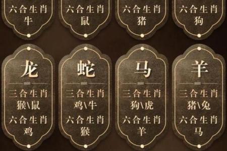 揭秘：肖氏生肖之谜，你属于哪个生肖？
