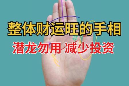 左右逢源手相术：揭秘财富运的神奇奥秘