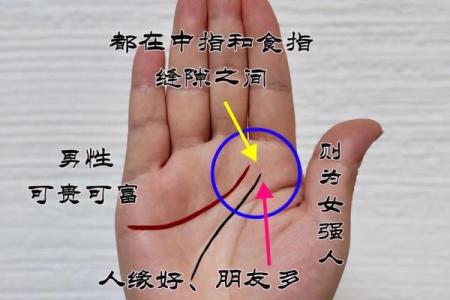 揭秘手相命线：一招看透命运的秘密