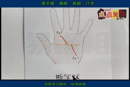 一招劈手相还，手相解读从此不再难