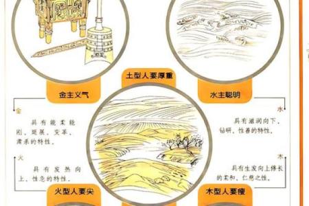 五行归属，揭开命运的神秘面纱