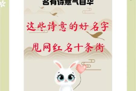 让名字拥有诗意，楚辞经典为你提供灵感