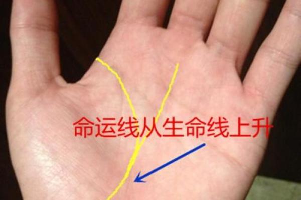 揭秘女性左手手相，探寻命运密码的神奇之旅