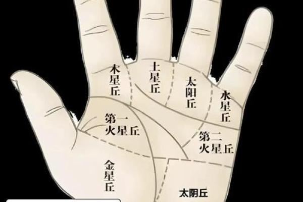揭秘左手手相奥秘：全方位图解大全，让你轻松读懂命运