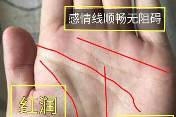 揭秘无名指根部茧：手相中的健康密码
