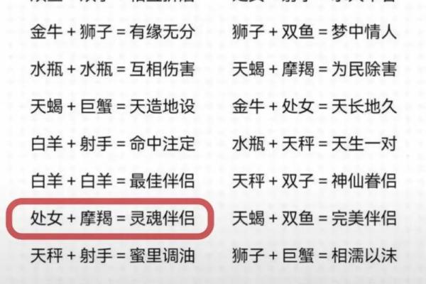 揭秘12星座：谁是你的命中注定？速来对号入座