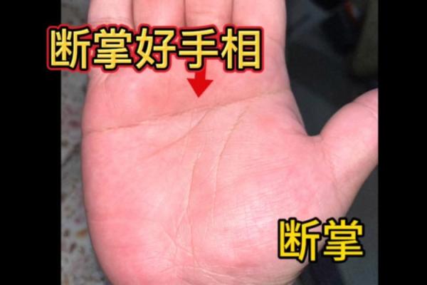 断掌女人命运揭秘：双手命运之谜，揭秘断掌女性的独特命运