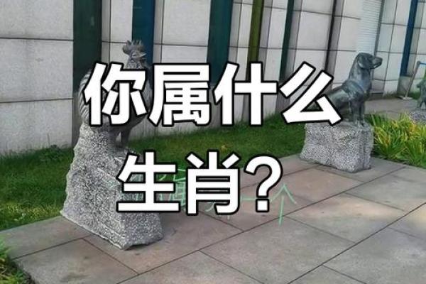 生肖谍影：十二生肖特工大揭秘