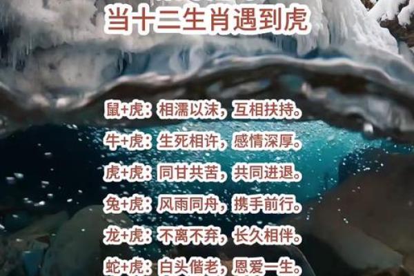 虎鼠组合：揭秘生肖配对中的绝配奇迹