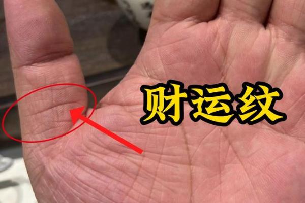 手相秘籍：揭秘命运与财运的秘密