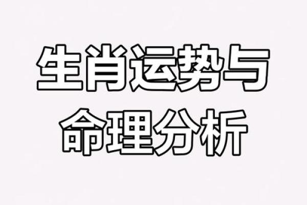 八字与生肖的神奇联系，深度分析命运密码