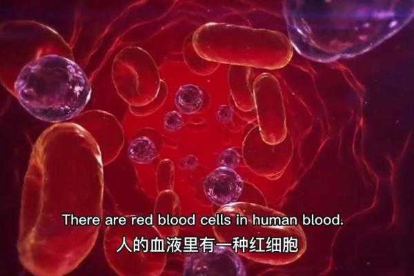血命是啥意思？揭秘人体生命的秘密