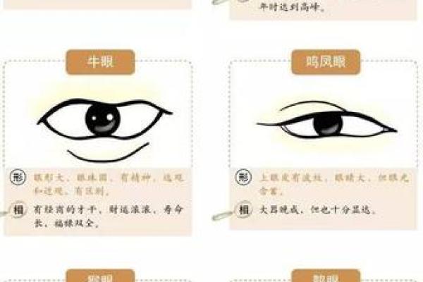 面相揭秘：生死攸关的五官秘密