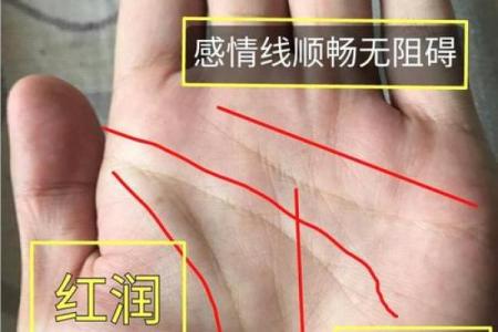 揭秘无名指根部茧：手相中的健康密码