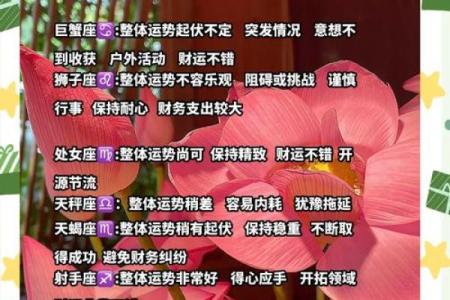 4月2日揭秘：你的星座运势大揭秘