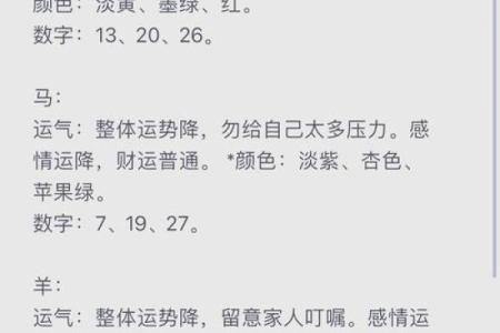 辛卯年运势大解析，如何把握机遇？
