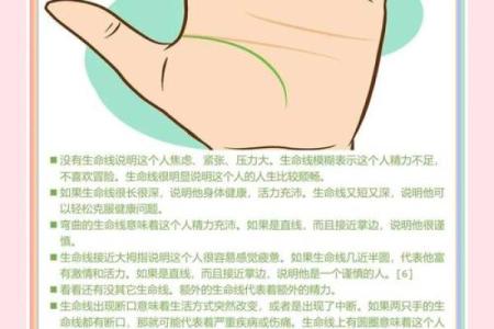 揭秘手相奥秘：四条生命线指引你的运势与命运