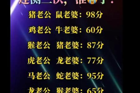 牛与牛婚姻配对的优势与挑战分析