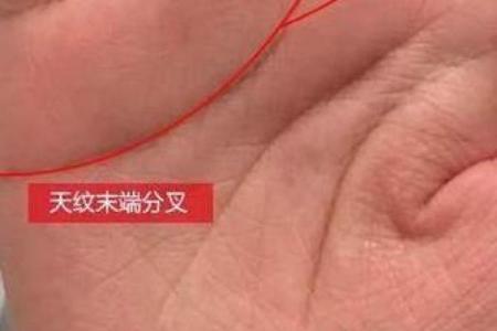 易经揭秘：男人手相图解，一眼看穿命运密码